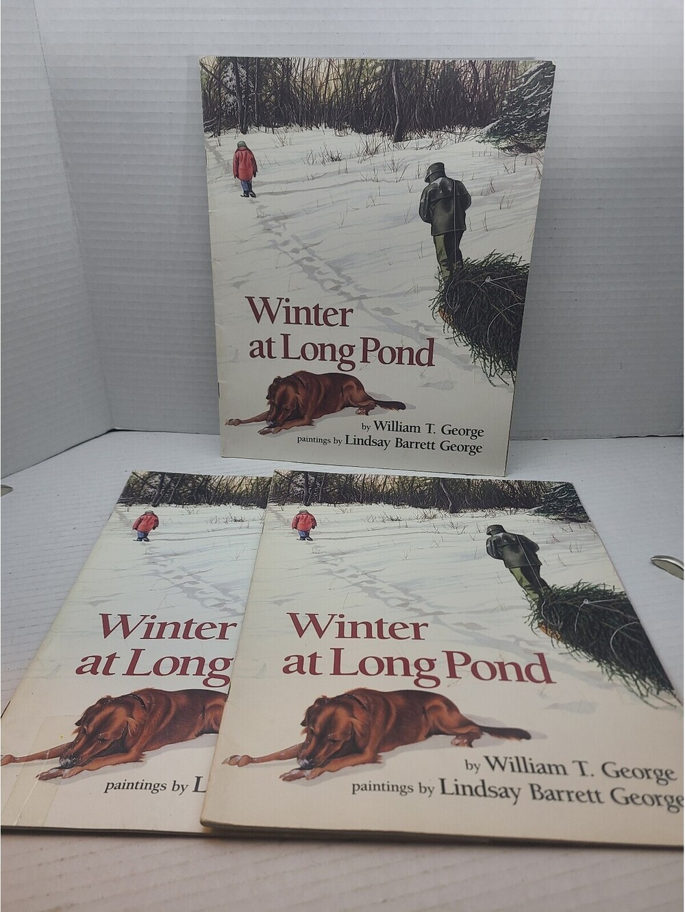 Winter at Long Pond By William T. George Lot of 3 Special Edition Books 1993 Vtg